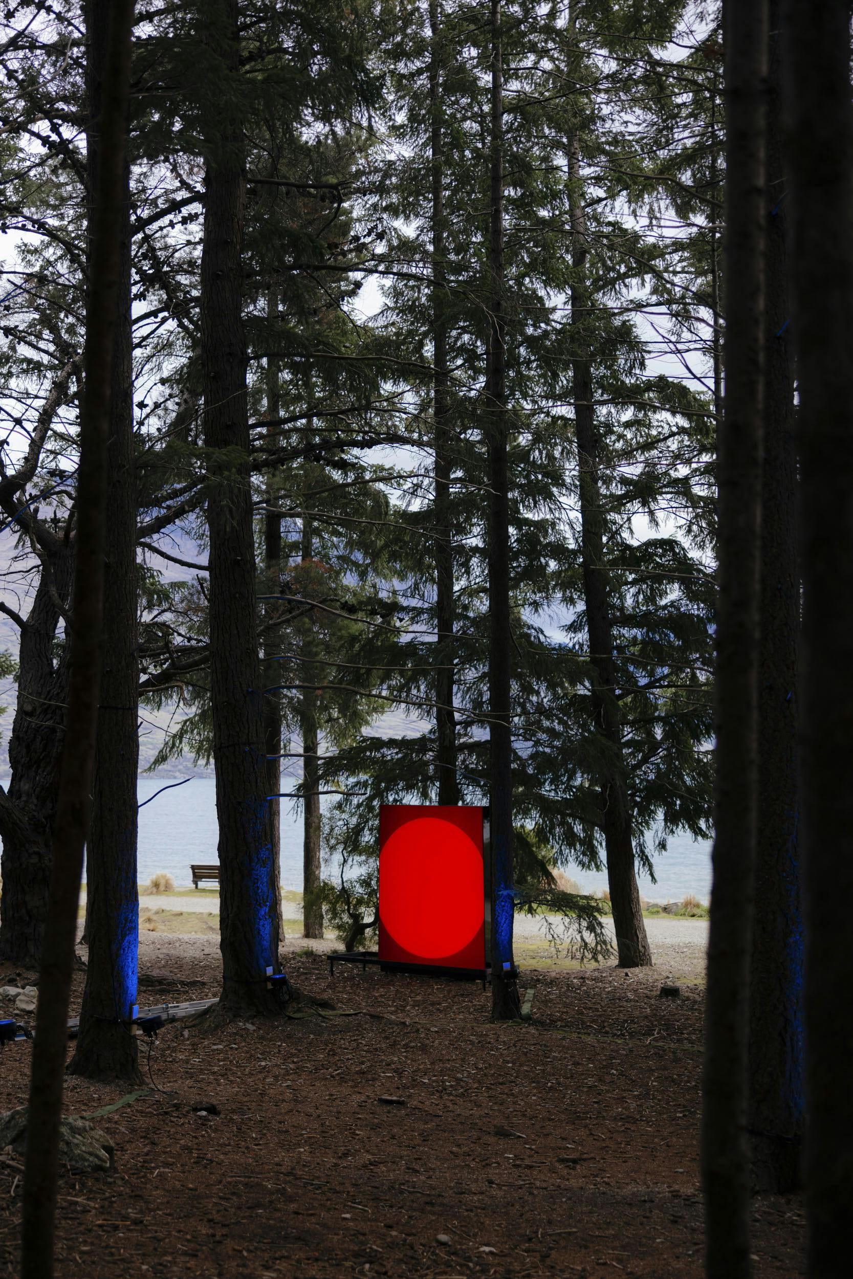 A red-lit rectangular object stands upright among tall trees in a forest clearing, with blue lights illuminating tree trunks and a body of water visible in the background.