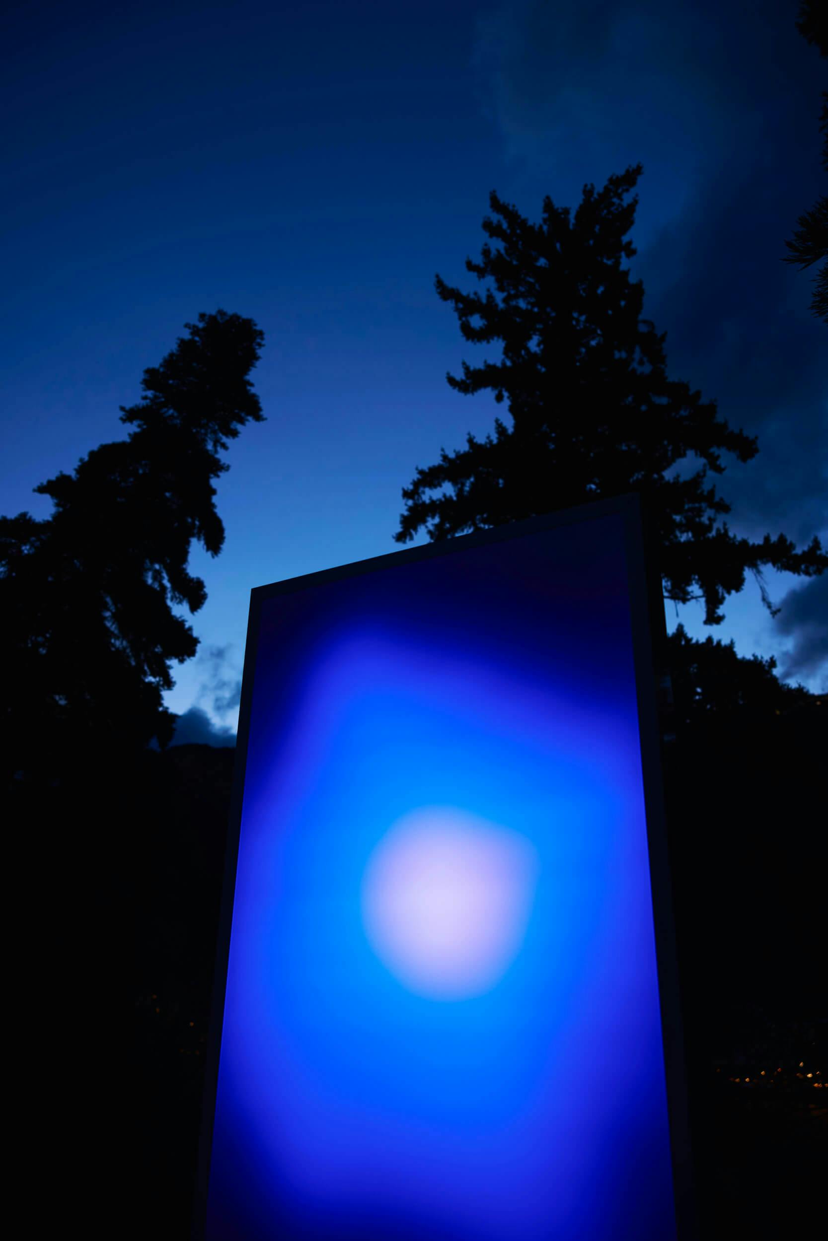 A glowing rectangular screen with a blue and white gradient stands outdoors at dusk, with silhouettes of tall trees and a dark blue sky in the background.