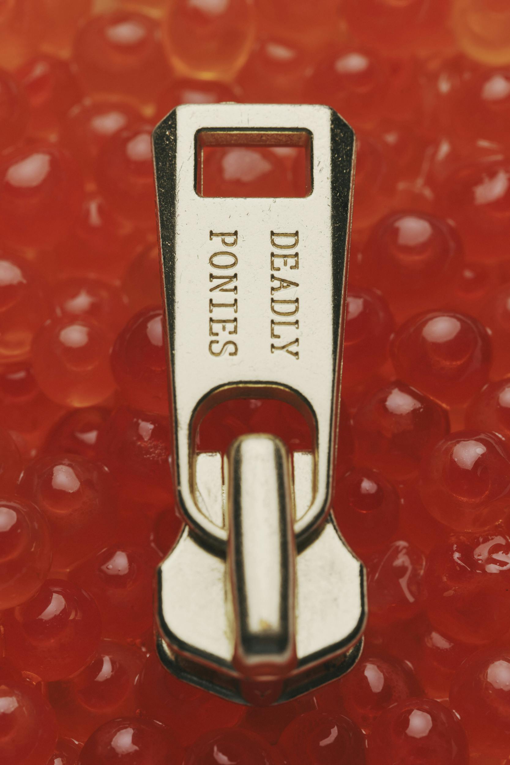 A close-up of a gold zipper pull engraved with the words 