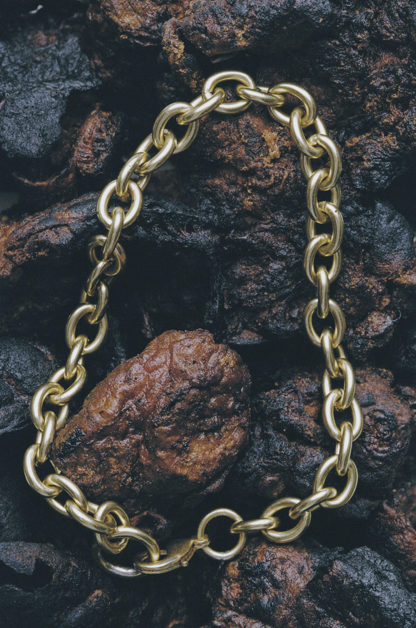 A gold chain necklace arranged in an oval shape on top of a pile of dark brown and black textured rocks or clumps.